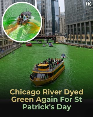 Chicago River Turns Brilliant Emerald Green for St. Patrick’s Day 2026 as Thousands Gather to Witness the Iconic Transformation, With Secret Eco-Friendly Dye Creating a Magical Spectacle in Under an Hour, Kicking Off a Weekend of Parades, Music, and Celebration That Showcases the City’s Irish Heritage and Captivates Visitors From Around the World